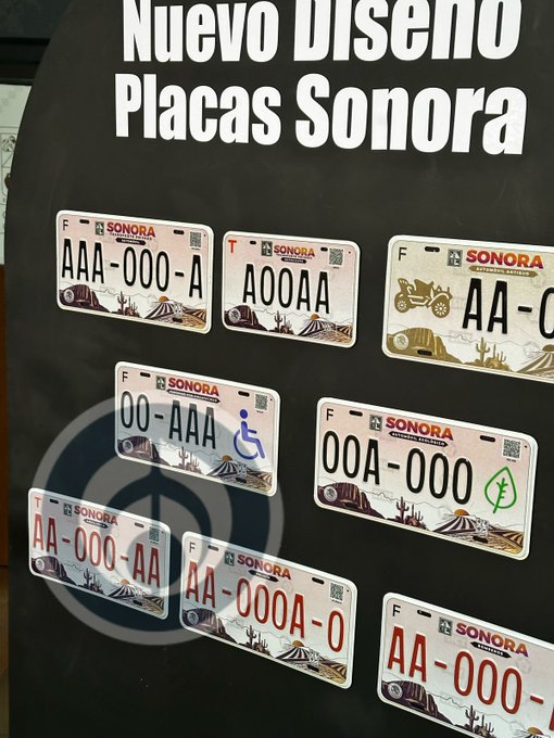 GpzSe9FWAAA2boa