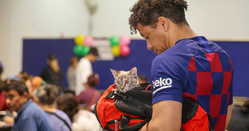 salud-animal-1024x538