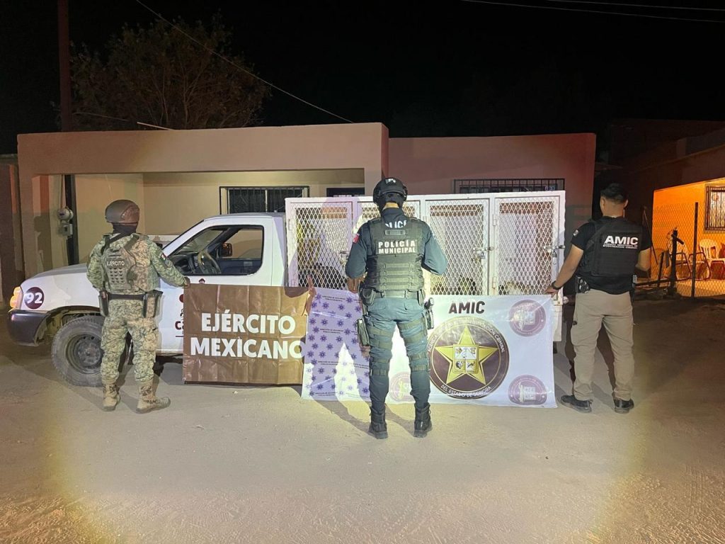 ejercito-rescata-gatos-1024x768