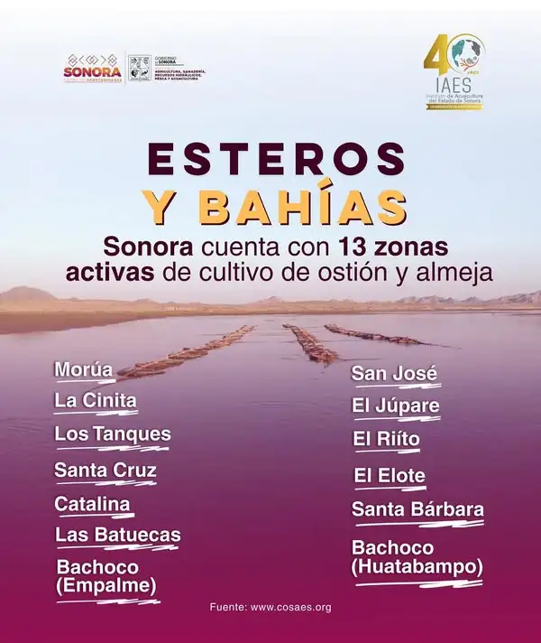 nota-2-1