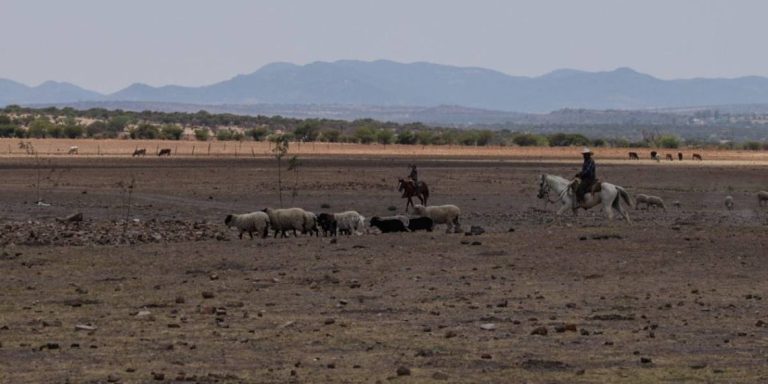 sequia-mexico-edos-en-rojo-105924-1140x570