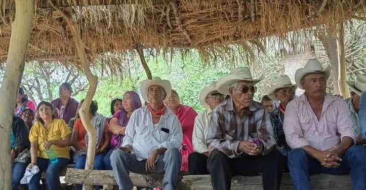 plantaron.yaquis-723x375