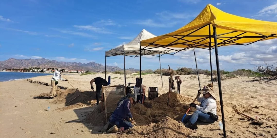 hallan-craneo-humano-en-playa-de-sonora-buscadoras-localizan-fosa-clandestina_20b319d3-fabe-41b9-99cd-8e6298a509c2_medialjnimgndimagefullsize-1140x570