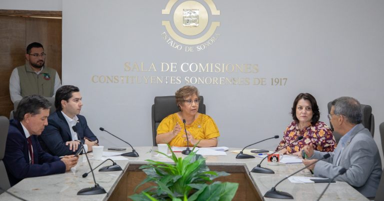 ComisionPresupuestosDiversosTurnados-5-scaled