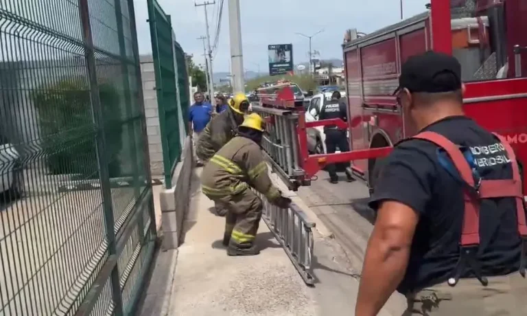 alarma-conato-de-incendio-en-guarderia-5bb5bd45-focus-0-0-1479-828