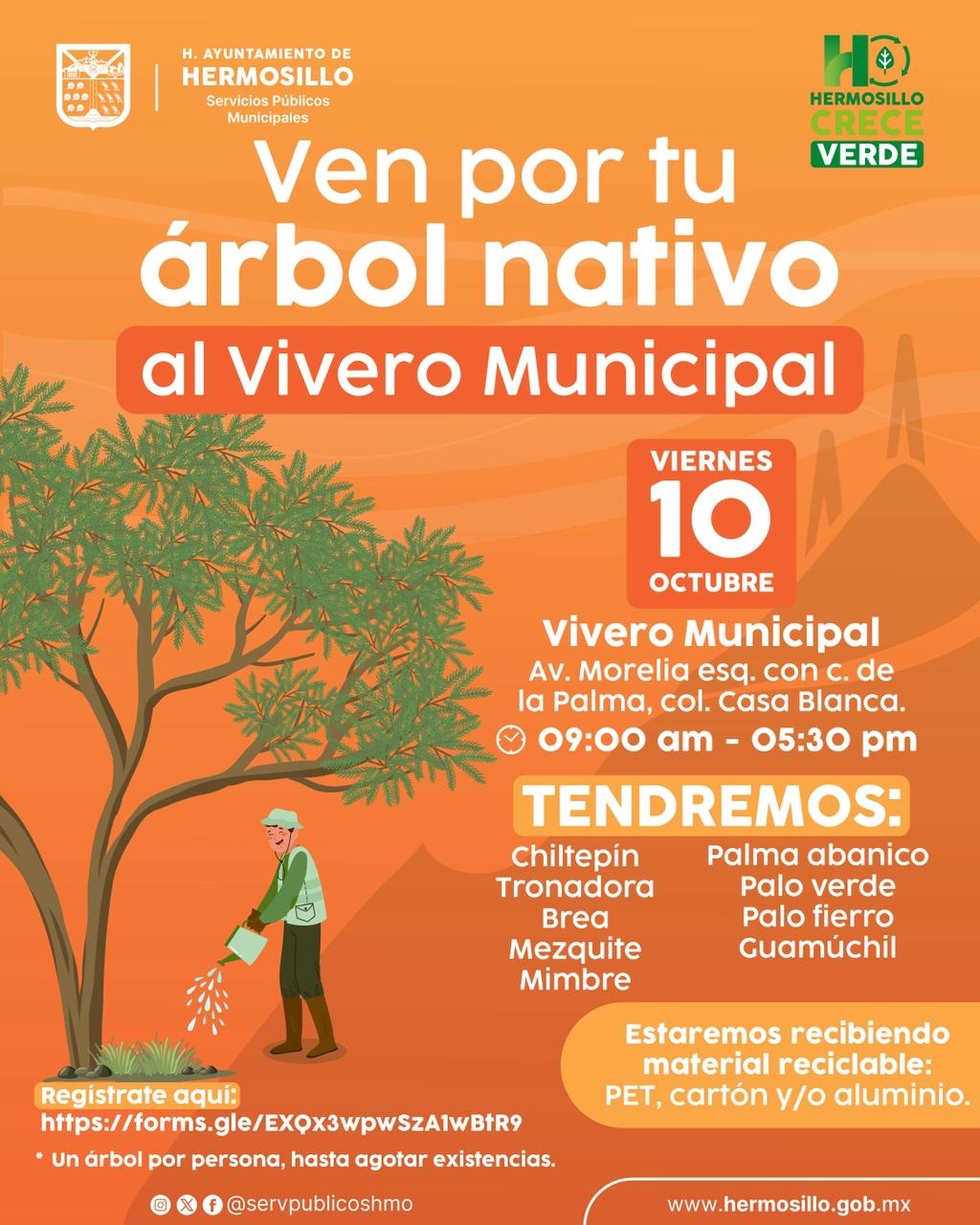 AyunArbolesNativosvivero10oct