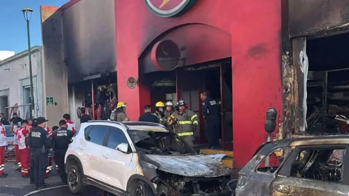 incendio-waldos-e9290e5c-focus-0-0-1479-828