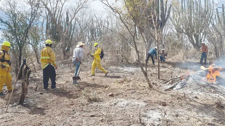 refuerzan-estrategias-contra-incendios-forestales-en-alamos-83925bf4-focus-0-0-750-421