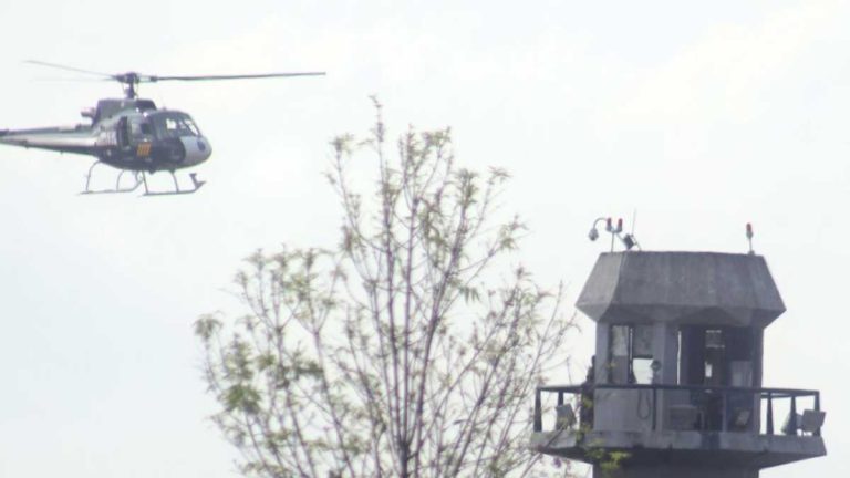 se-fugan-23-reos-puerto-vallarta-183050