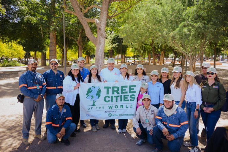 AlcReconocimientohilloCiudadArbol-4
