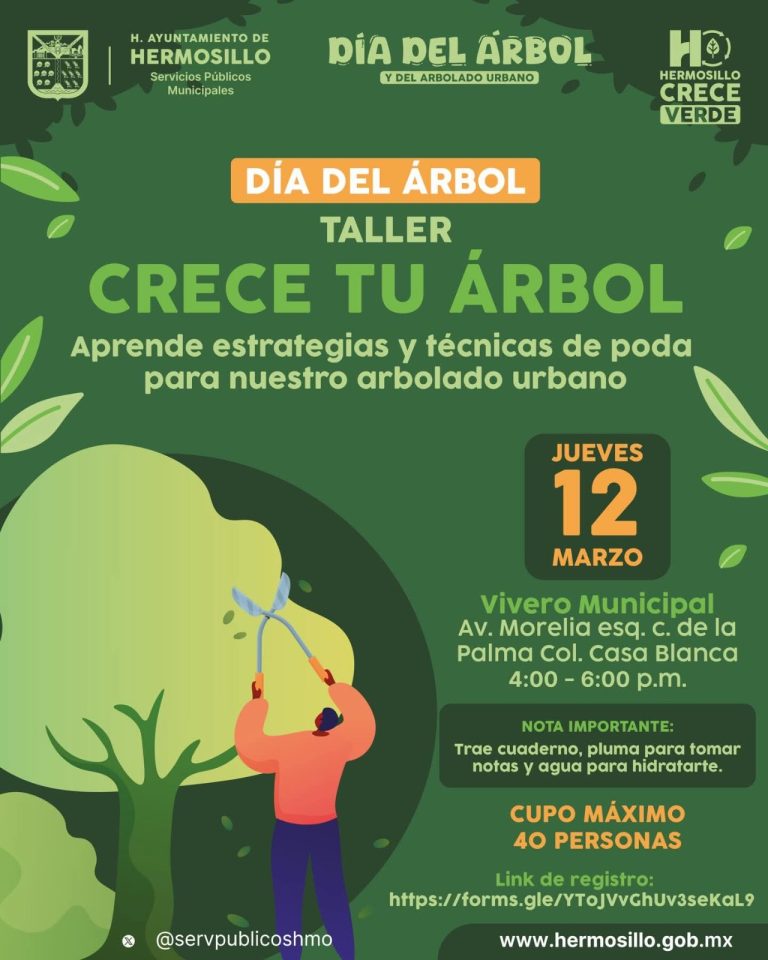 HilloAprenderGerminarArbol-1