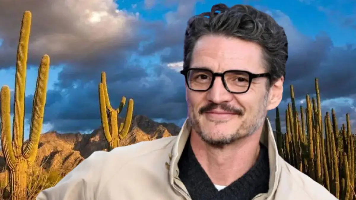 pedro-pascal-esta-en-sonora-inicia-grabaciones-de-la-pelicula-de-noche-96dd4f6e-focus-0-0-1479-828