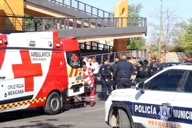 660949008_1390053943154623_7838969476923967730_n