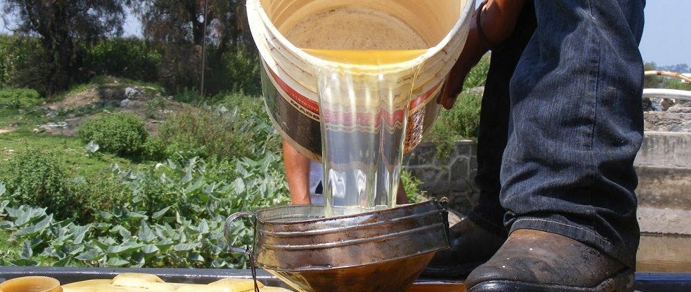 GASOLINA-1000x423