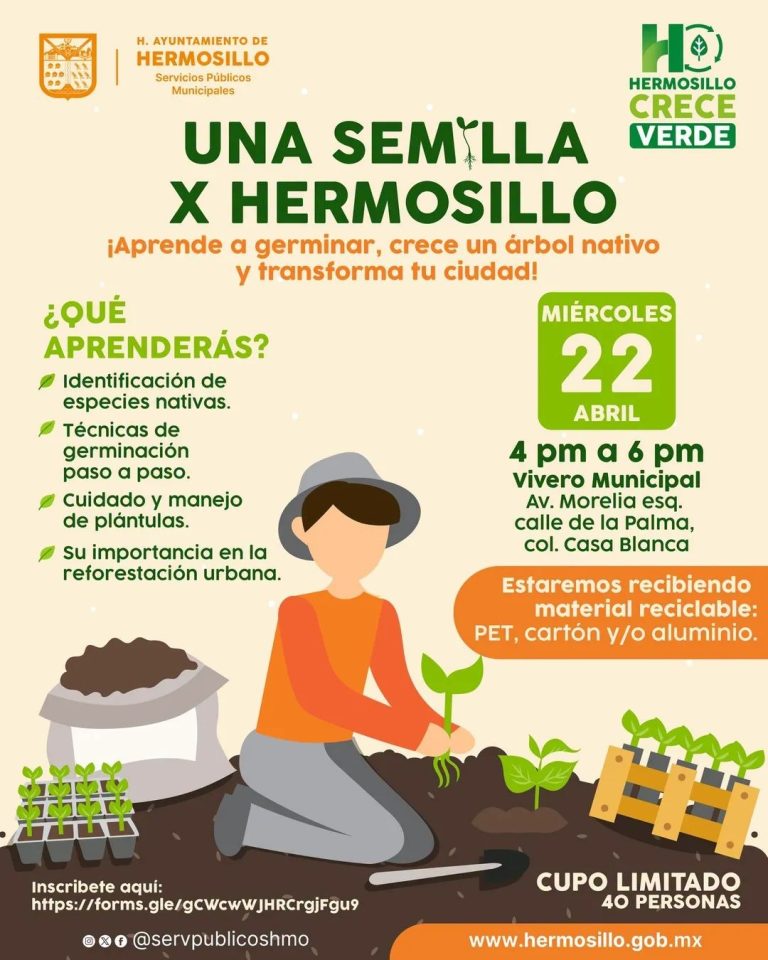 TallerunaSemillaXhillo