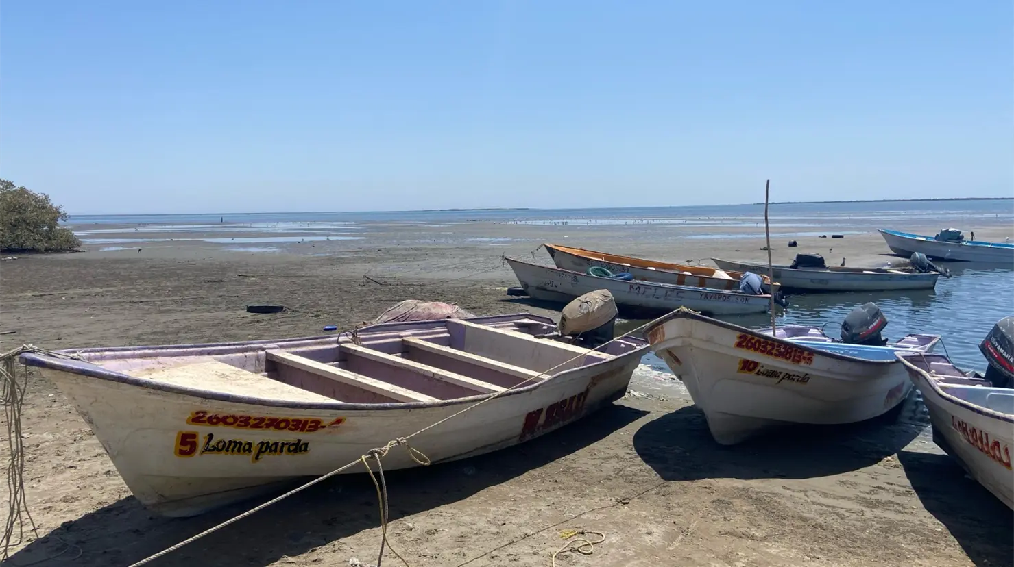 b5e49a4b-1c1a-44db-9c35-e1679fe56740-840dbc3c-focus-0-0-1479-828