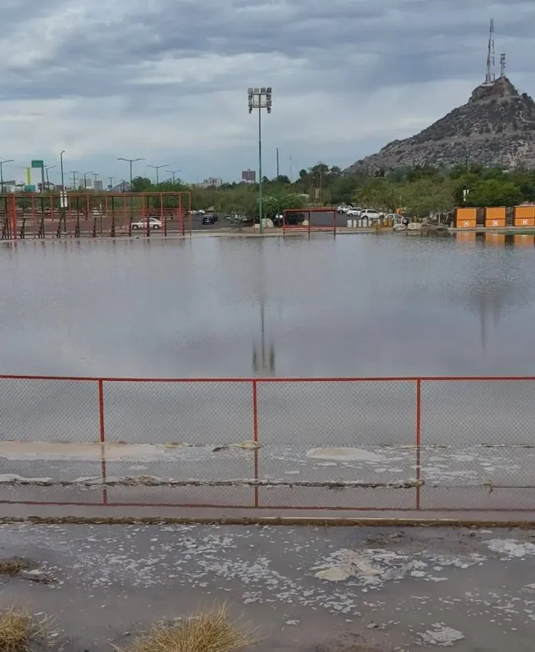 carcamo-2-6fa588b8-focus-0-0-1479-828