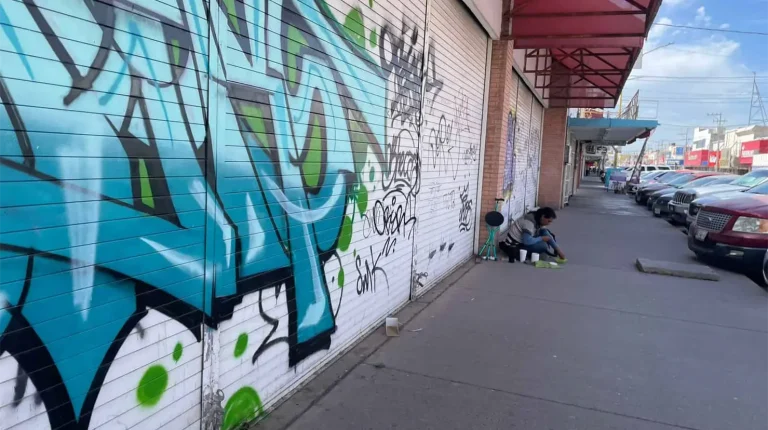 patrones-imss-1-afdb499e-focus-0-0-1479-828