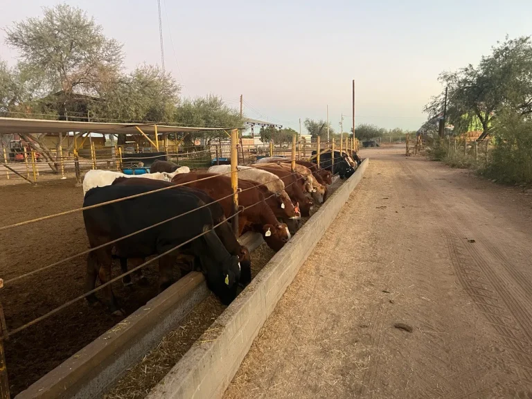 photo_2026-04-13_13-38-59