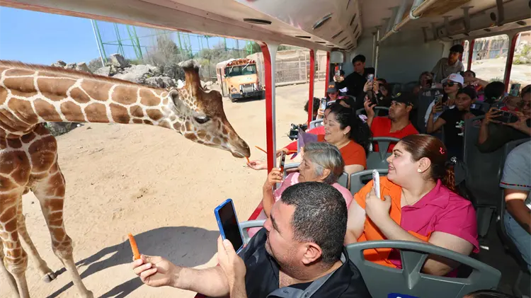 semana-santa-centro-ecologico-de-sonora-reabre-eco-safari-4544b6ec-focus-min0.06-0.06-750-421