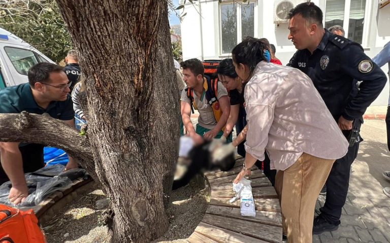 tiroteo-turquia-150042026